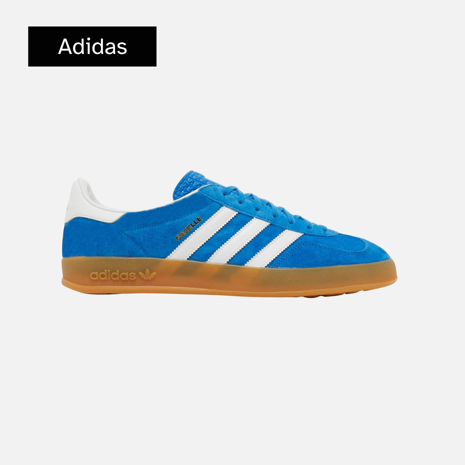 Gazelle Indoor 'Blue Bird Gum'