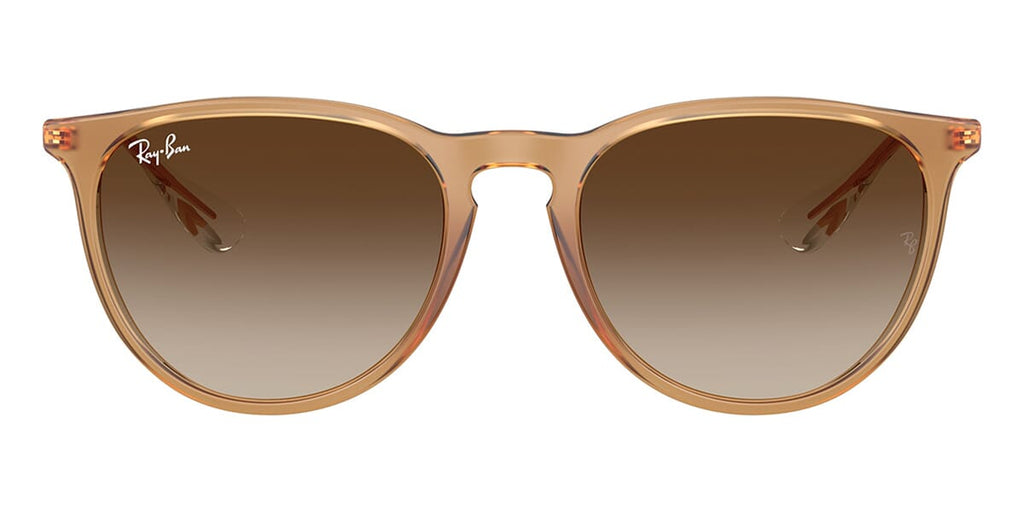 Ray-Ban Erika RB 4171 6814/13 - As Seen On David Warner