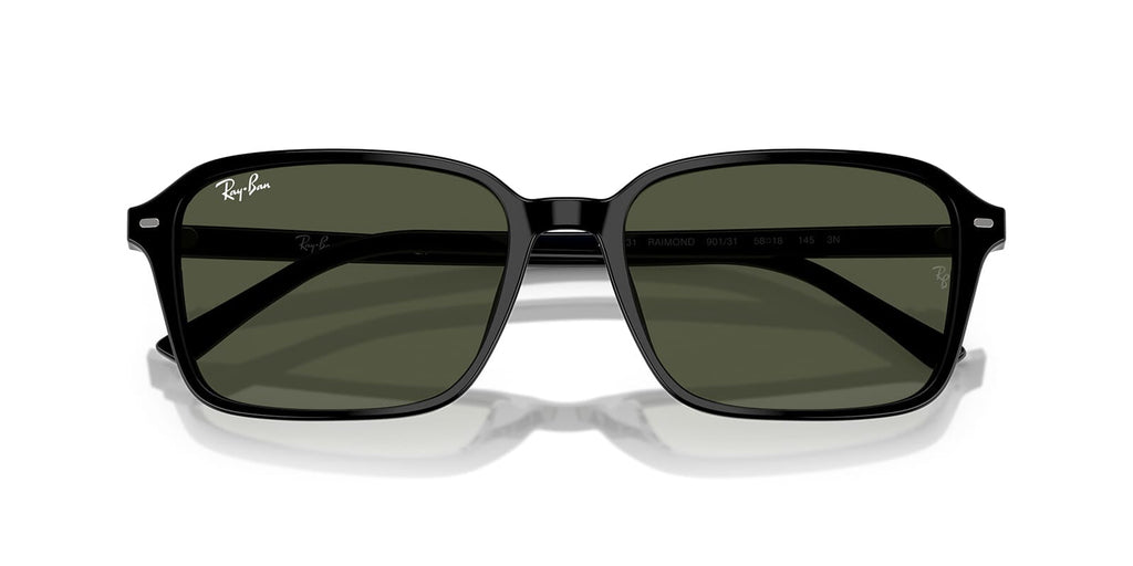 Ray-Ban Raimond RB 2231 901/31