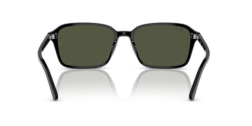 Ray-Ban Raimond RB 2231 901/31