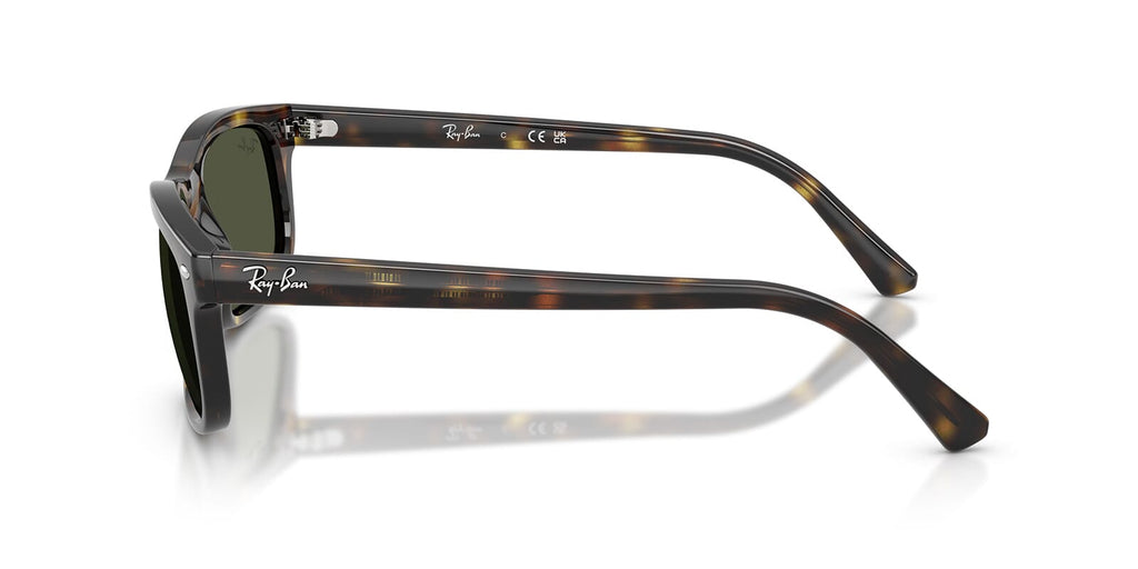 Ray-Ban RB 2224 710/31